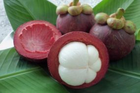 MANGOSTAN