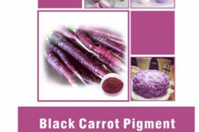 BLACK CARROT PIGMENT