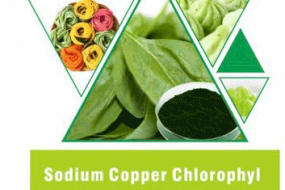 SODIUM COPPER CHLOROPHYL