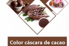 COLOR CÀSCARA DE CACAO