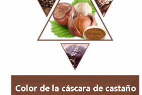 COLOR DE LA CÀSCARA DE CASTANO