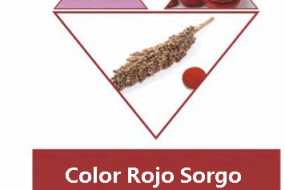 COLOR ROJO SORGO