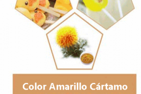 COLOR AMARILLO CARTAMO