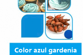 COLOR AZUL GARDENIA