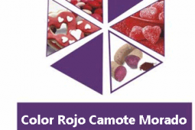 COLOR ROJO CAMOTE MORADO