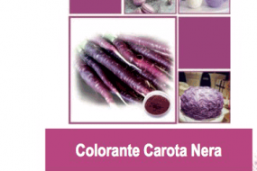 COLORANTE CAROTA NERA