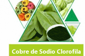 COBRE DE SODIO CLOROFILA