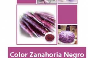 COLOR ZANAHORIA NEGRO