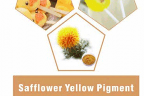 SAFFLOWER YELLOW PIGMENT