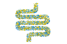 FERMENTI LATTICI – PROBIOTICI