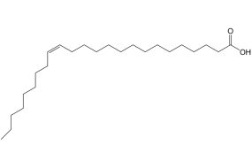 ACIDO NERVONICO