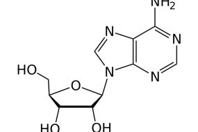 ADENOSINA USP 35