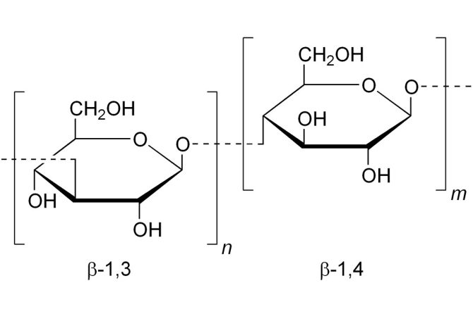 BETA-GLUCANO