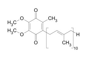 COENZIMA Q10