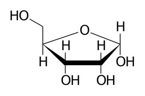 D-RIBOSIO