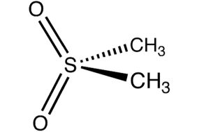 METILSULFONILMETANO