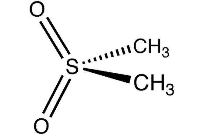 METILSULFONILMETANO