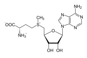 SAME (S-ADENOSINA-L-METIONINA)