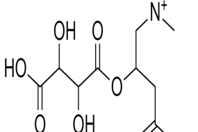 L-CARNITINA TRATRATO