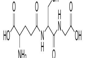 L-GLUTATIONE RIDOTTO