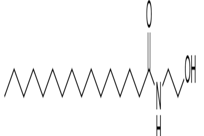 PALMITOILETANOLOLAMIDE (PEA)