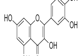 QUERCETINA