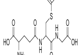 S-ACETIL-L-GLUTATIONE