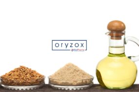 ORYZOX: Valutazione di attività anti-aterogena in vitro